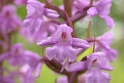 051DSCN3584
