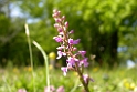 052DSCN3027