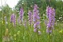 053DSCN3585