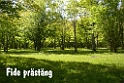 054DSCN3060