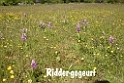 064DSCN3082