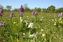 065DSCN3071