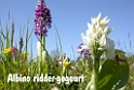 066DSCN3072