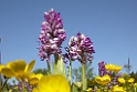 067DSCN3084
