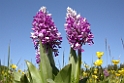 068DSCN3075