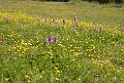 072DSCN3070