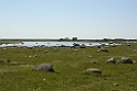 076DSCN3091