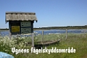 080DSCN3094