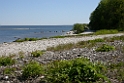 090DSCN3103