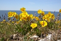 099DSCN3122