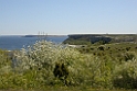 104DSCN3109