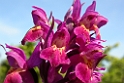 115DSCN3155