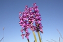 143DSCN3240
