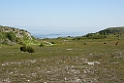 146DSCN3245