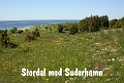147DSCN3246