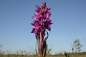 160DSCN3262