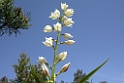 165DSCN3278