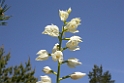 166DSCN3279