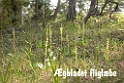 178DSCN3303