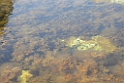 184DSCN3323
