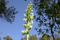 194DSCN3338