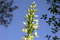 195DSCN3335