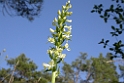 197DSCN3347