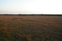 208DSCN3375