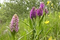 212DSCN3386
