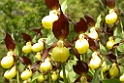 224DSCN3438