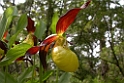228DSCN3451
