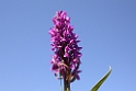 242DSCN3530