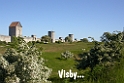 248DSCN3499