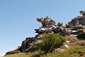 Hoburg Gubban.20110620_7709