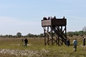 Muskmyr.20110620_7685
