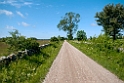 Stockvikan.20110620_7660