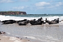 Sæl.20120505_0310