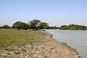 Sultanpur.20100416_0143