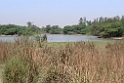 Sultanpur_DSC7329