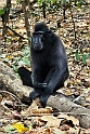 Abe.20230928_072710