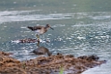 Tinksmed.20231002-_DSC2317