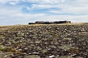 Island 2021 Myvatn hotel