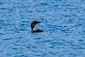 Islom.20210703_0051