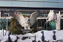 Airport.20170211_082624
