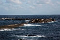 HachijoJima20170204_DSC5021
