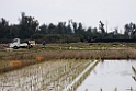 Kin Ricefields20170215_DSC8387