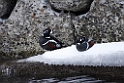 Strømand20170208_DSC6193
