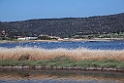 Kalloni saltpans_DSC7657
