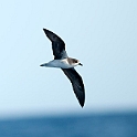 20100827_1630