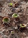 plante.201030aug_7940
